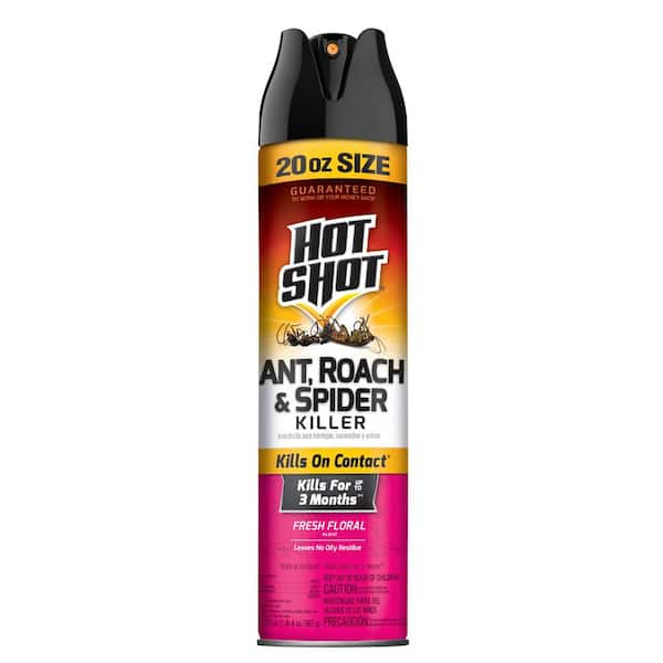 Hot Shot 20 oz. Ant, Roach, and Spider Insect Killer Aerosol Spray Fresh Floral Scent