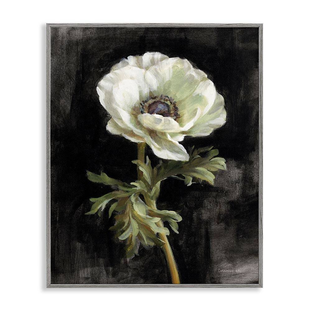 Anemone on Black by Danhui Nai Gray Framed Nature Giclee Art Print 20 in. x 16 in. price history on PriceWatchPro