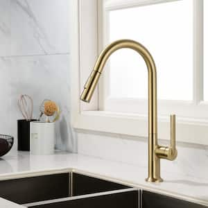 2-Spray Patterns Single Handle Pull Down Sprayer Kitchen Faucet with Water Supply Hoses in Brushed Gold