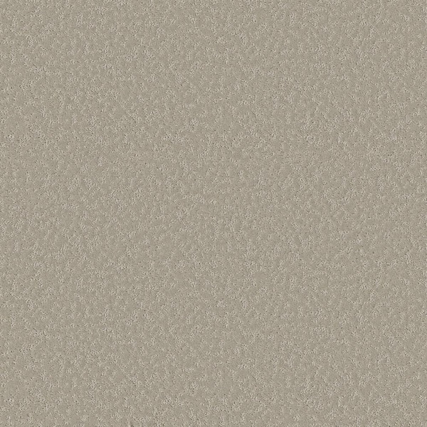 Lifeproof Wingate - Color Bisque Paver - 33 oz SD Polyester Pattern Beige Installed Carpet