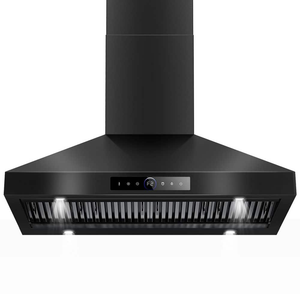 Denjol 48 in. 1000 CFM Ducted Vent Wall Mount Range Hood with Dual