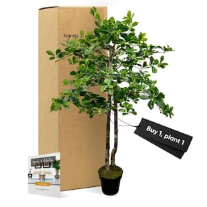 Handmade 4 ft. Artificial Black Olive Tree in Home Basics Plastic Pot Made with Real Wood and Moss Accents