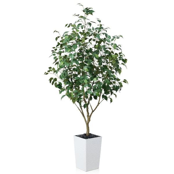 DR.Planzen 6ft.Artificial Ficus Tree Indoor/Outdoor, Fake Tree with White Planter for Home Office Decor,Living Room & Modern Spaces