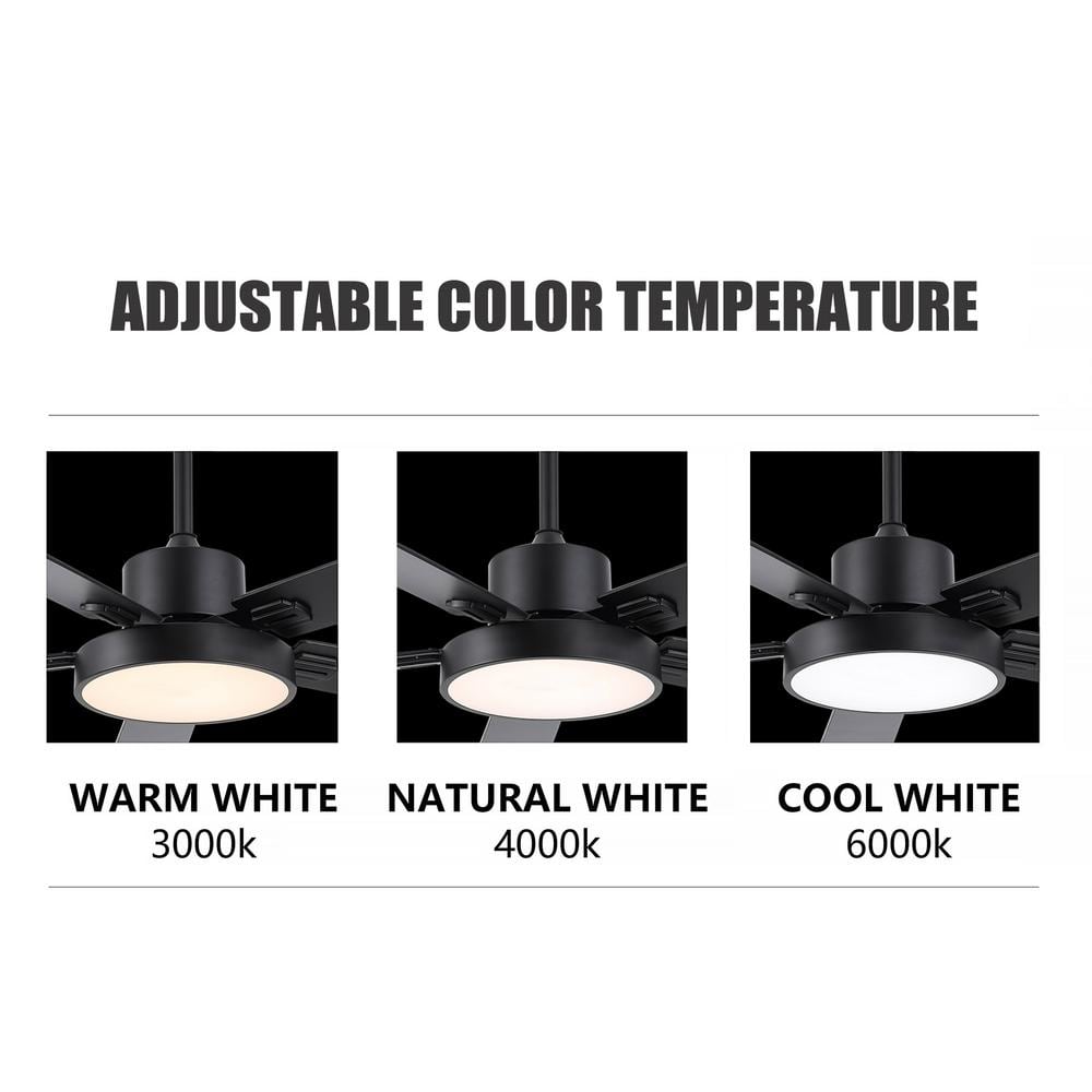 Modern Black 52-Inch LED Ceiling Fan with Remote and Light Kit