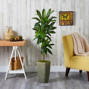 4.5 ft. Dracaena Artificial Plant in Green Planter (Real Touch)
