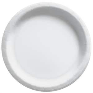 10 in. x 10 in. Frosty White Round Paper Plates (100-Piece)