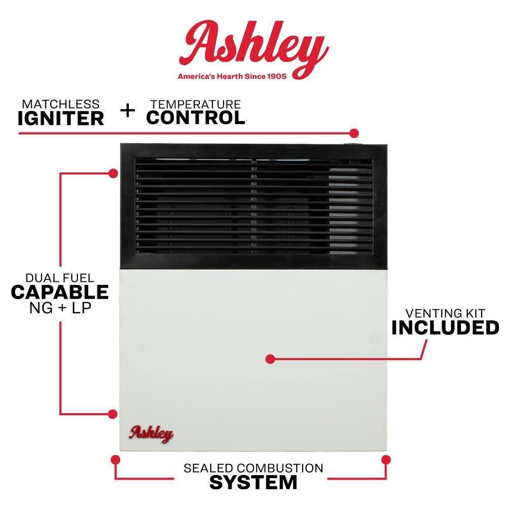 Ashley Dual Fuel Black and Gray Stainless Steel Wall Heater