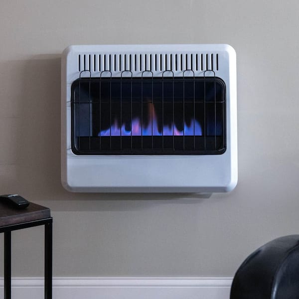 30,000 BTU Vent Free Blue Flame Natural Gas or Propane Dual Fuel Space Heater