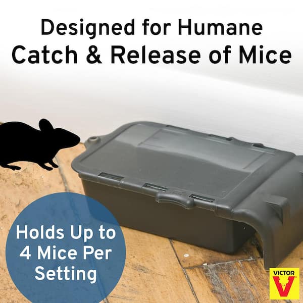 Humane Mouse Traps Indoor for Home - No Kill Mouse Traps - Catch and  Release - Safe for Children & Pets