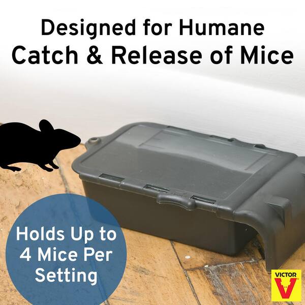 Victor Humane Catch-and-Hold Multiple-Catch No-Touch Outdoor and Indoor Mouse  Trap (4-Pack) M333VB4 - The Home Depot