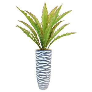 55.5 in. H Real touch agave in Resin Planter