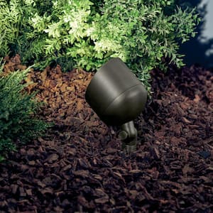 Low Voltage Centennial Brass Hardwired Outdoor Weather Resistant Spotlight with No Bulbs Included