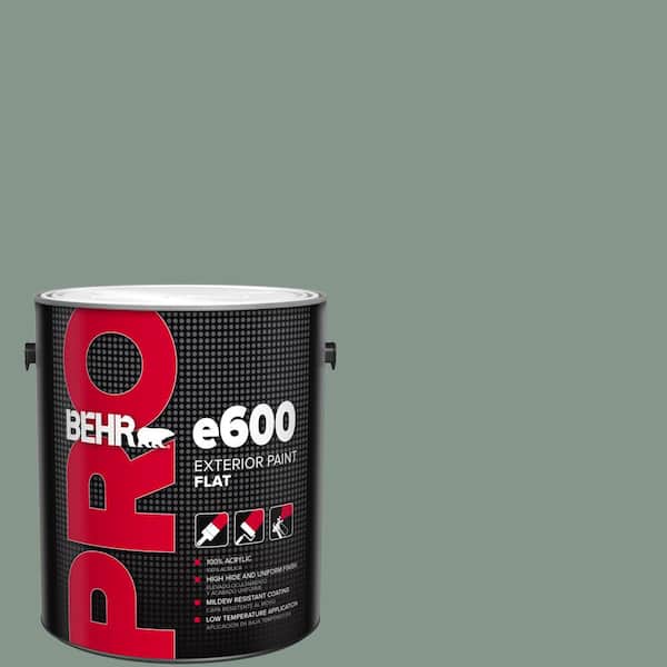1 gal. #N420-4 Underground Gardens Flat Exterior Paint