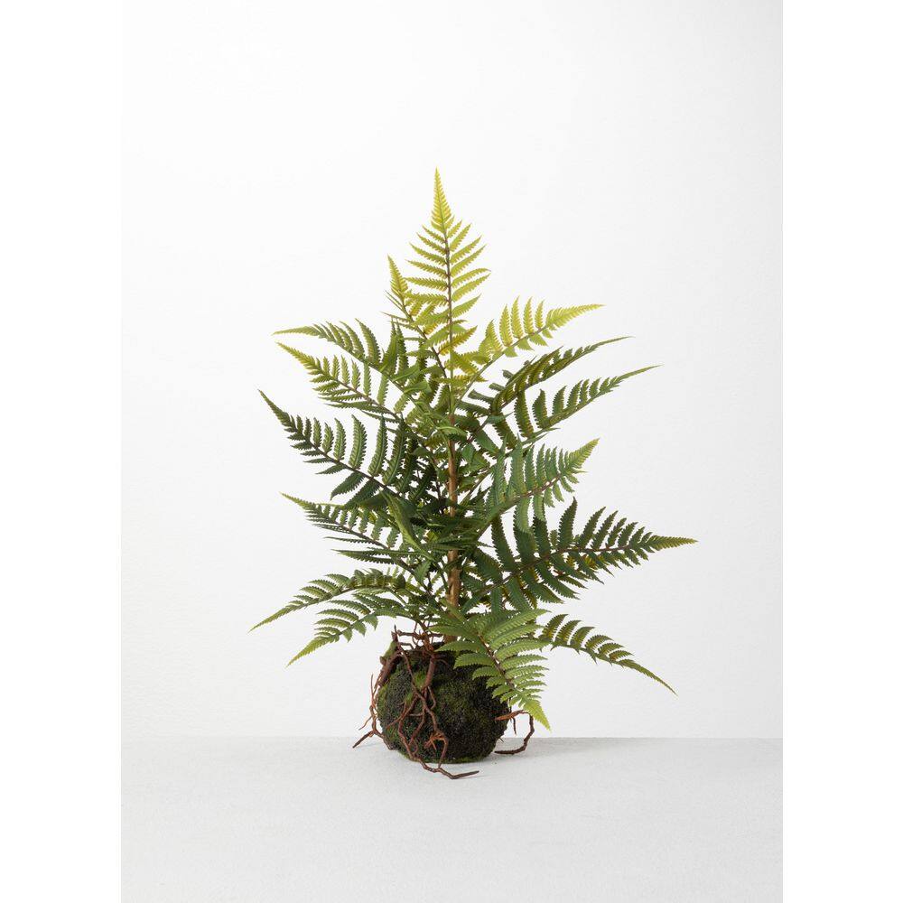 SULLIVANS 16 5 In Artificial Fern In Ball 02549PT The Home Depot   Sullivans Artificial Ferns 02549pt 64 1000 