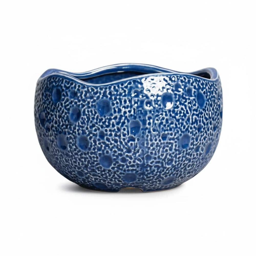 "Blue Ceramic Plant Pot 10"" - Indoor Outdoor Modern Bonsai Decor" price history on PriceWatchPro