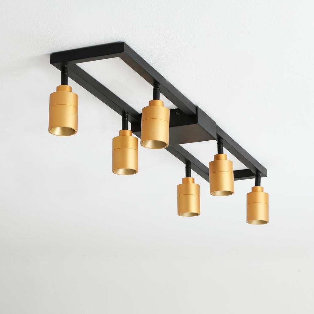 Vidalite Black and Gold Iron Rectangle Semi Flush Mount