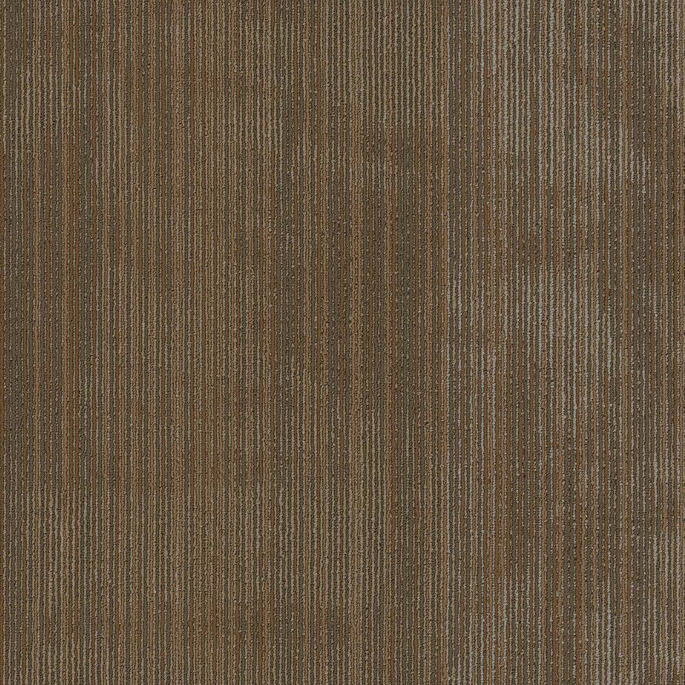Seve-Crude-Brown Commercial/Residential 24 in. x 24 in. Glue-Down Carpet Tile Square (80 sq. ft.) price history on PriceWatchPro