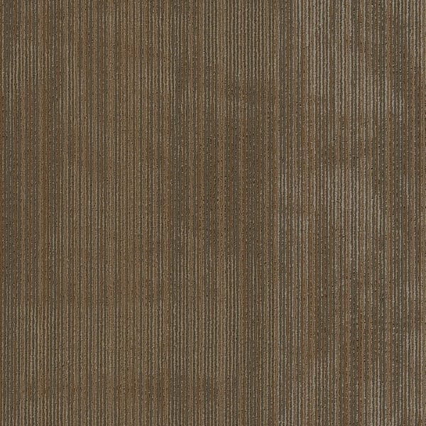 Shaw Seve-Crude-Brown Commercial/Residential 24 in. x 24 in. Glue-Down Carpet Tile Square (80 sq. ft.)