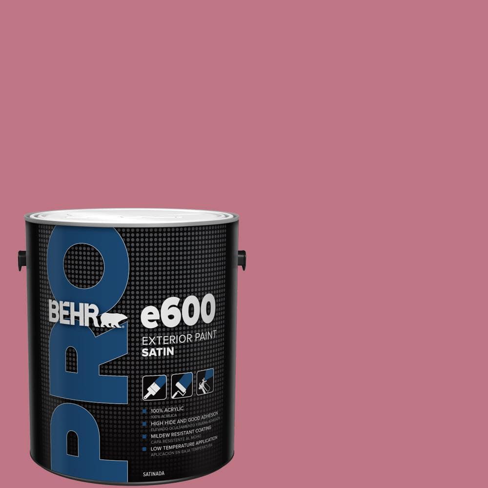 1 gal. #110D-4 Rosily Satin Exterior Paint price history on PriceWatchPro
