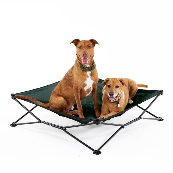 Coolaroo On the Go Elevated Pet Bed, King, Brunswick Green