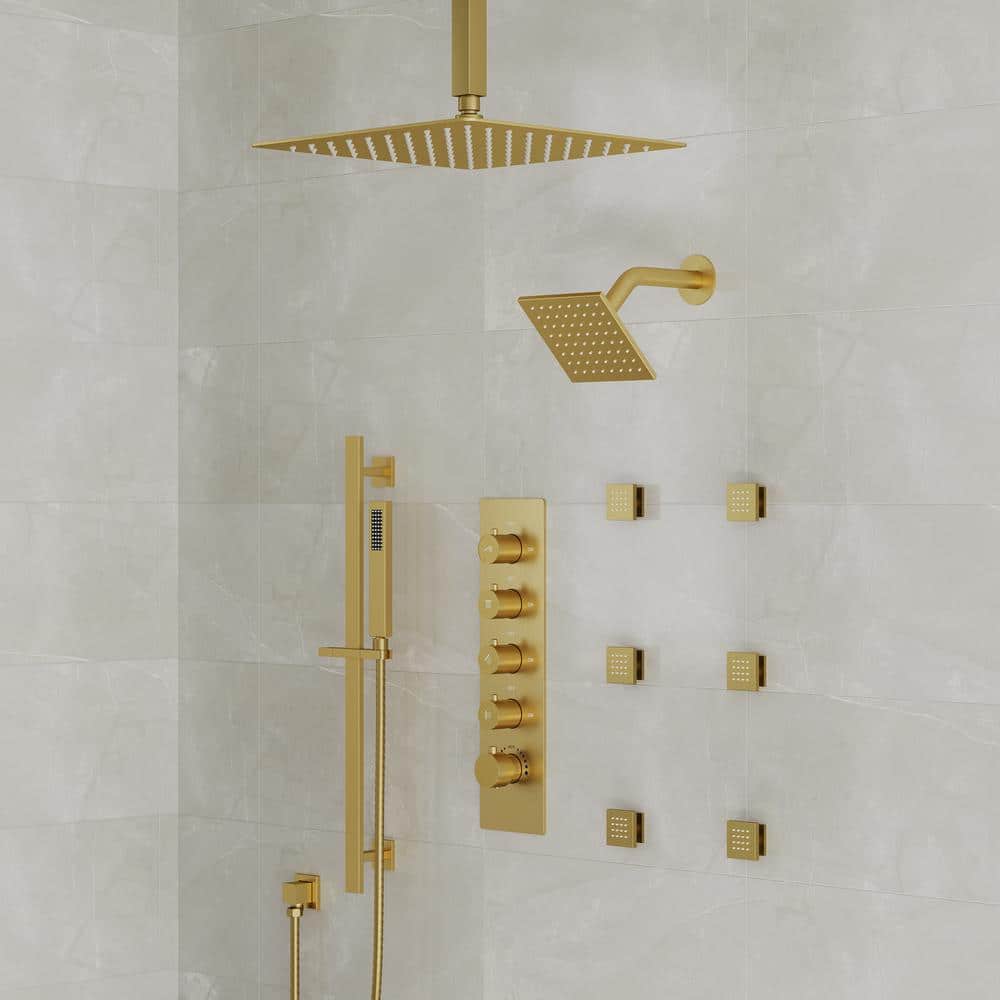 EVERSTEIN 13-Spray Patterns 16 and 6 in. Ceiling Mount Dual Shower
