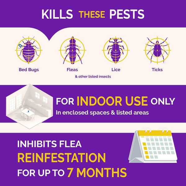 2 oz. Bed Bug and Flea Killer Fogger (3-Count) (6-Pack)