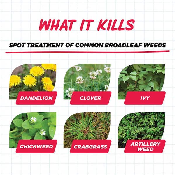 Earth's Ally Weed and Grass Killer 1-Gallon Natural Herbicide