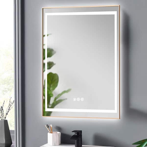 20 in. W x 28 in. H Rectangular Aluminum Framed Backlit and Front Light LED Wall Bathroom Vanity Mirror in Brushed Gold