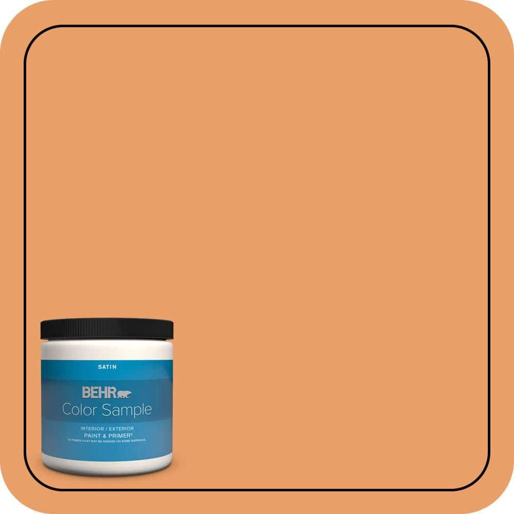 8 oz. #260D-4 Copper River Satin Enamel Interior/Exterior Paint & Primer Color Sample price history on PriceWatchPro