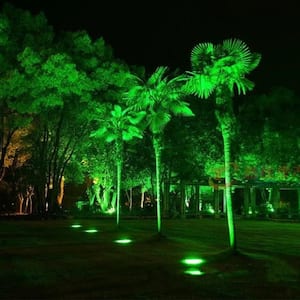 90-Watt Equivalent PAR38 Weatherproof Outdoor Landscape Green Color LED Flood Light Bulb (12-Pack)