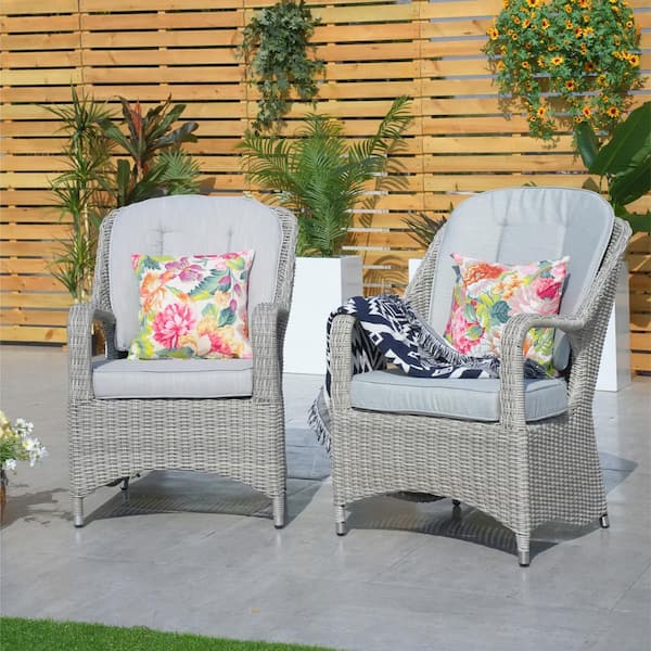 Lois Gray Wicker Outdoor Chair with Beige Cushions (2-Pack)