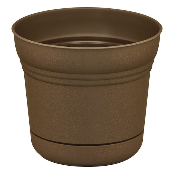 Vigoro 5 in. Anne Chocolate Brown Plastic Planter (5 in. x 4.5 in.) with Drainage Hole and Attached Saucer