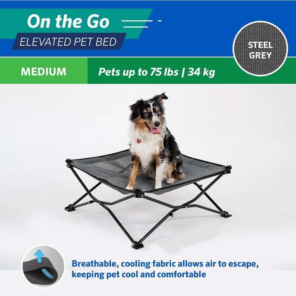Medium Steel Gray Elevated Outdoor Pet Bed with Alloy Steel Frame