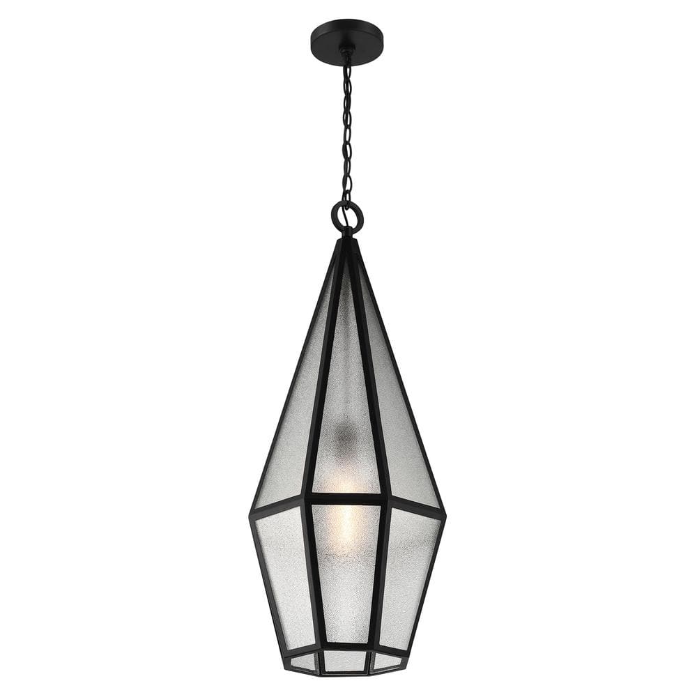 Matte Black Art Glass 1-Light Outdoor Hanging Lantern