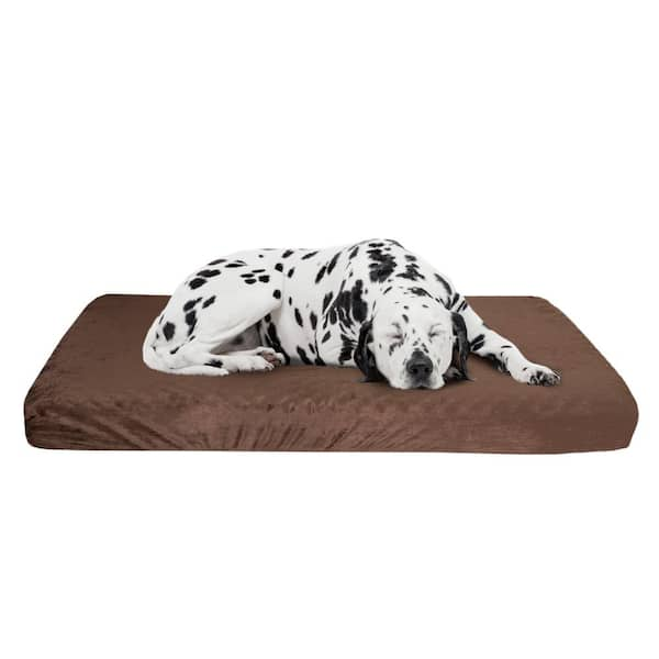 Orthopedic pet beds outlet with memory foam