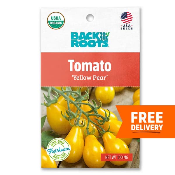 Back to the Roots Organic Yellow Pear Tomato Seed (1-Pack)