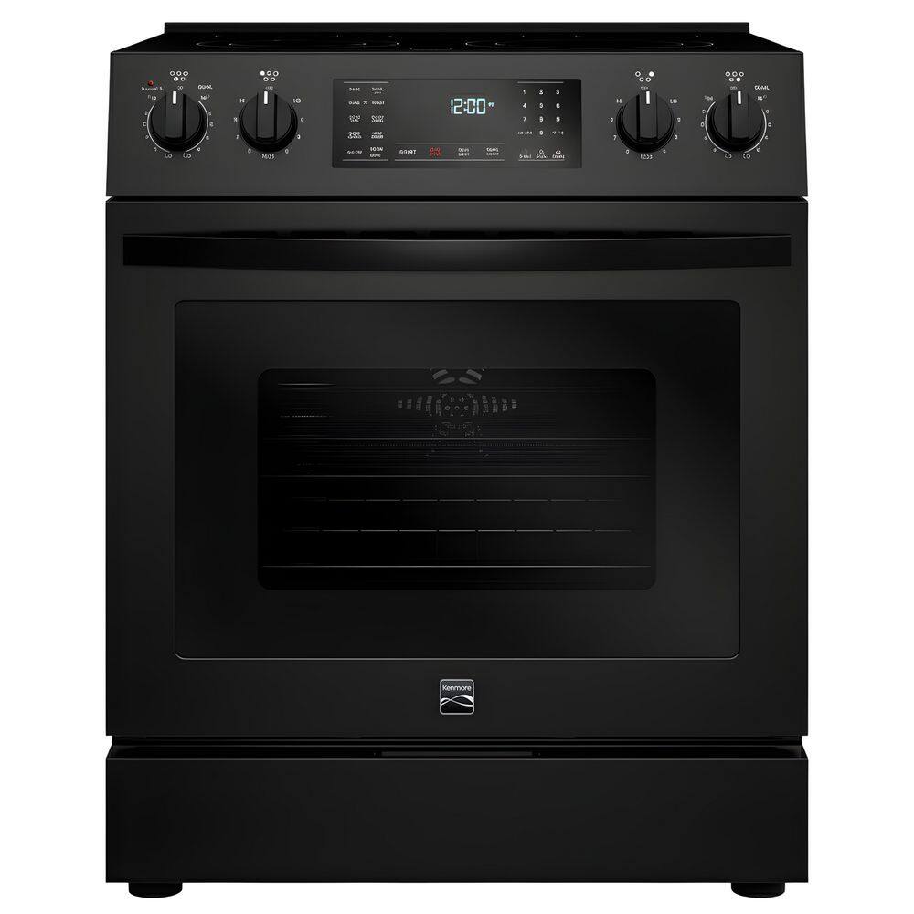 30 in. 4 Element Slide-In Electric Range in Black with Fan Convection price history on PriceWatchPro