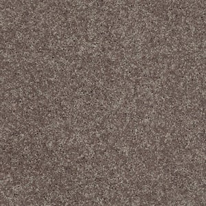 Palmdale I - Soft Leather - Brown 17.6 oz. Polyester Texture Installed Carpet