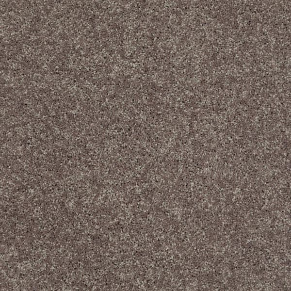 Palmdale II - Soft Leather - Brown 31.2 oz. Polyester Texture Installed Carpet