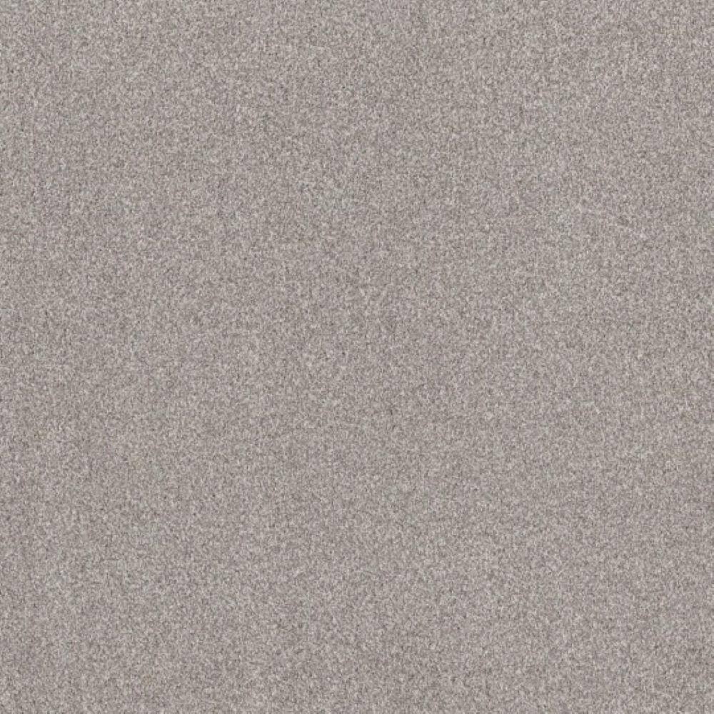8 in. x 8 in. Texture Carpet Sample - Urban Artifact II - Color Ship Anchor price history on PriceWatchPro