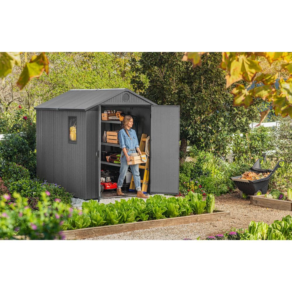 Graphite 6' x 8' Outdoor Storage Shed with Windows