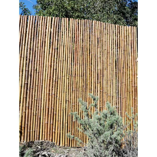 Backyard X Scapes 3 Ft H X 8 Ft L X 1 In D Caramel Brown Bamboo Fence Panel 22 Cb3 The Home Depot