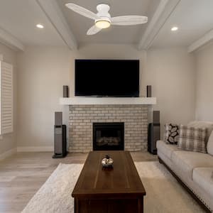 Arran 48 in. Color Changing Integrated LED Indoor Matte White 10-Speed DC Ceiling Fan with Light Kit and Remote Control