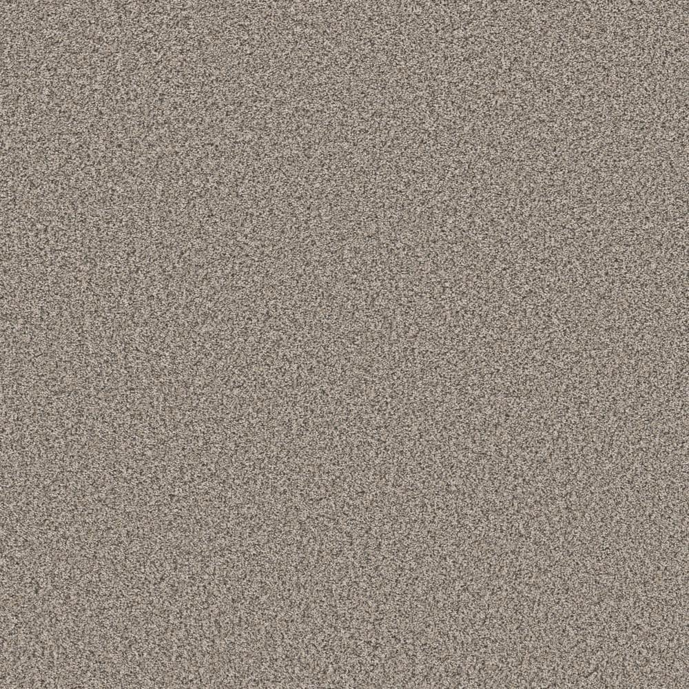 8 in. x 8 in. Texture Carpet Sample - Piece of Cake - Color Stormy Sky price history on PriceWatchPro
