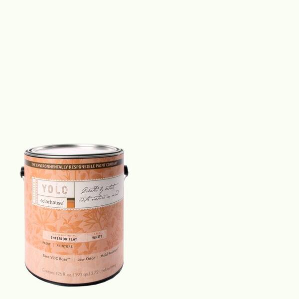 YOLO Colorhouse 1-gal. Imagine .02 Flat Interior Paint-DISCONTINUED