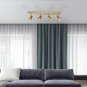 Modern 2 ft. Matte Brass Indoor Hard Wired Track Lighting Kit with Pivoting Shades Step Heads