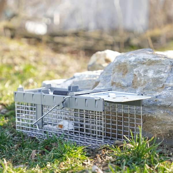 Reviews for Havahart Small 1-Door Humane Catch-and-Release Live Animal Cage  Trap for Squirrel, Weasel, Chipmunk