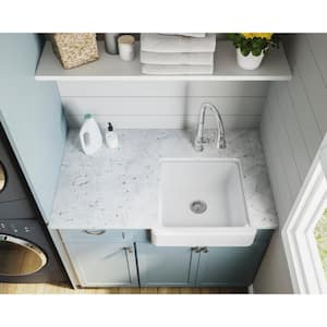 Whitehaven Farmhouse/Apron-Front Cast Iron 23.5 in. Single Bowl Kitchen Sink in Biscuit