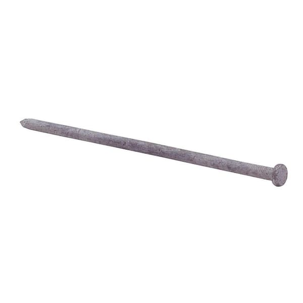 Unbranded #3/8 x 10 in. Hot Galvanized Nails (10-Pack)