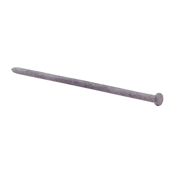 Grip-Rite 3/8 in. x 10 in.  Exterior Galvanized Spike Nails 10 per Box